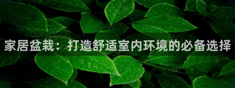 UG环球官网